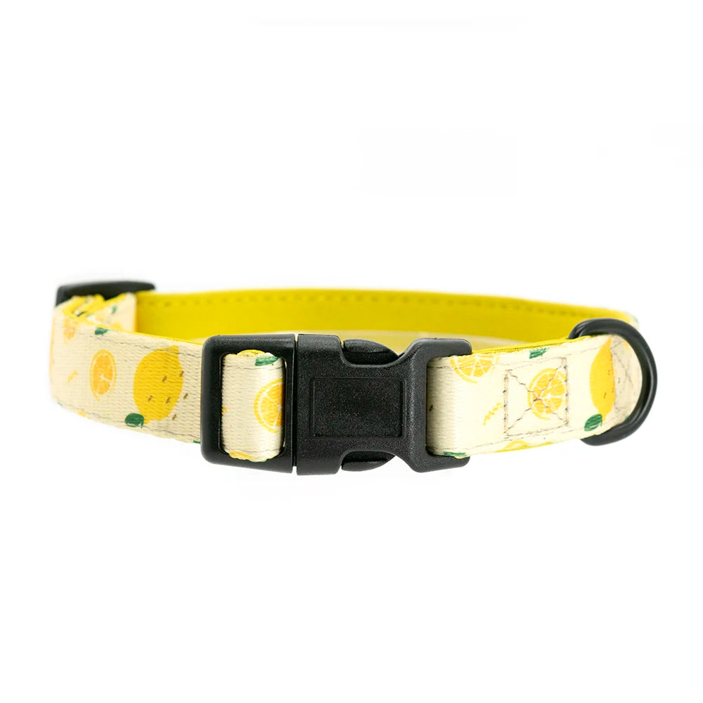 Lemon - Dog Collar