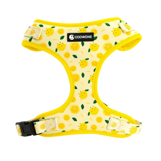 Lemon - Dog Harness