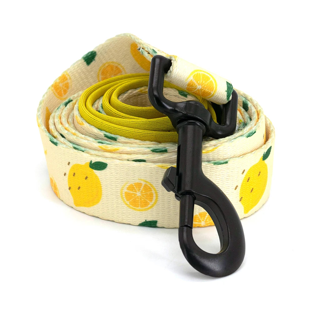 Lemon - Dog Lead