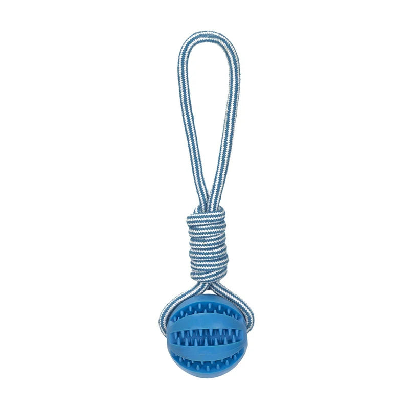 Blue - Rubber Pet Treat Balls with Rope