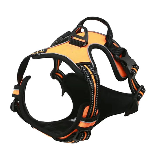 Orange - Harness